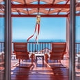 thumbnail image 5 of WIRESTER 40" Red Cardinal Birds Windsock Banner Outdoor Hanging Decor for Wall Tree Front Patio Lawn Garden, 5 of 6