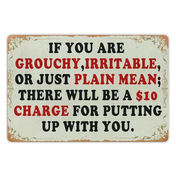 Metal Tin Signs Rustic Sign 'If You Are, Irritable, or Just Plain Mean; There a $10 for Up with You.' - Perfect for Home, Bar, or Garden Decorating Metal plaque Home Tinplate 1