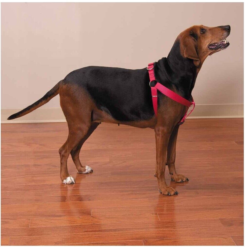 50 Pack Dog Harnesses Bulk Wholesale Assorted Colors Vet Rescue Shelter Safety (Large - 25 to 40 Inch Chest)