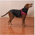thumbnail image 2 of 100 Pack Dog Harnesses Bulk Wholesale Assorted Colors Vet Rescue Shelter Safety (Small - 9 to 15 Inch Chest), 2 of 8
