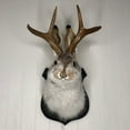 thumbnail image 4 of Jackalope Decor, Resin Hanging Wall Art Antler Rabbit Head Wall Decor, Simulation Rabbit Specimen Resin Art Ornaments for Home/Office (1PC), 4 of 8