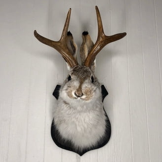 Deer Head Wall Mount Taxidermy, Animal Head Wall Decor, 3D Rabbit