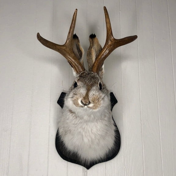 1PCS Deer Head Wall Mount,Bunny Head Antlers Decoration Wall Hanging,Plush 3D Animal Head Wall Decor for Home Decor,Wall Ornament