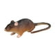 thumbnail image 5 of Ratones de juguete, modelo de rata, figuras de juguete, bromas, accesorios, juguetes, figuras de animales, simulación para Estilo B, 5 of 9