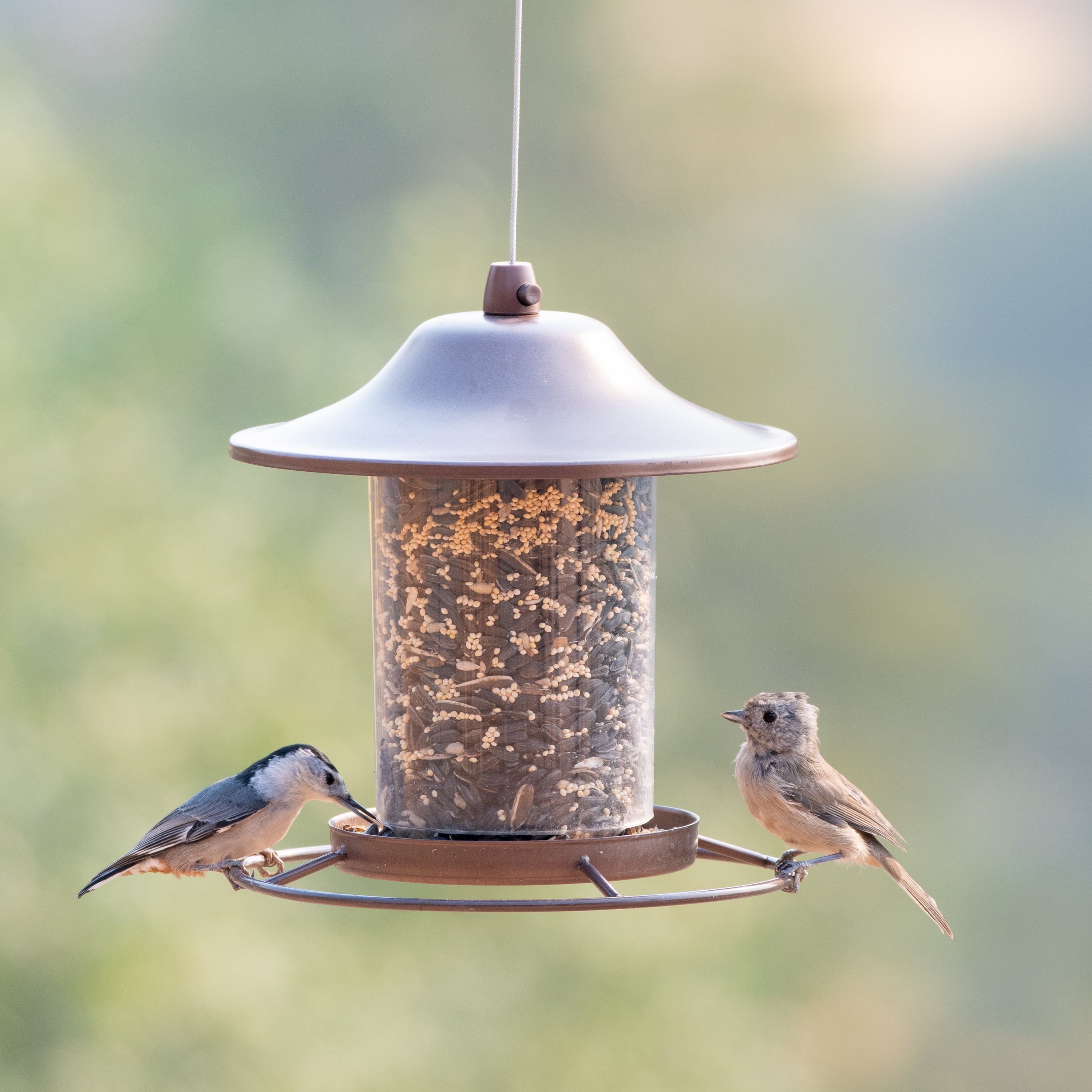 Perky-Pet 2 lb Small Panorama Wild Bird Feeder