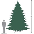 thumbnail image 6 of Northlight 15' Pre-Lit Canadian Pine Commercial Artificial Christmas Tree - Warm White Lights, 6 of 6