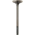 thumbnail image 2 of Pro X 28.1334-1 Steel Exhaust Valve, 2 of 3