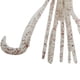 thumbnail image 2 of Pulpo Artificial Flotante TPE Cebo Accesorios De Pesca Al Aire Libre Blanco 4 Piezas, 2 of 6