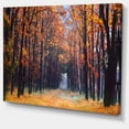 thumbnail image 2 of Alley dans la Forêt d'Automne Dense - Impression sur Toile Forêt, 2 of 4