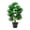 B, variant on Orangide Artificial Palm Plant Fake Tropical Tree with Pot, Realistic Faux Plant for Home Office Living Room, Floor Standing Decor for House Entryway