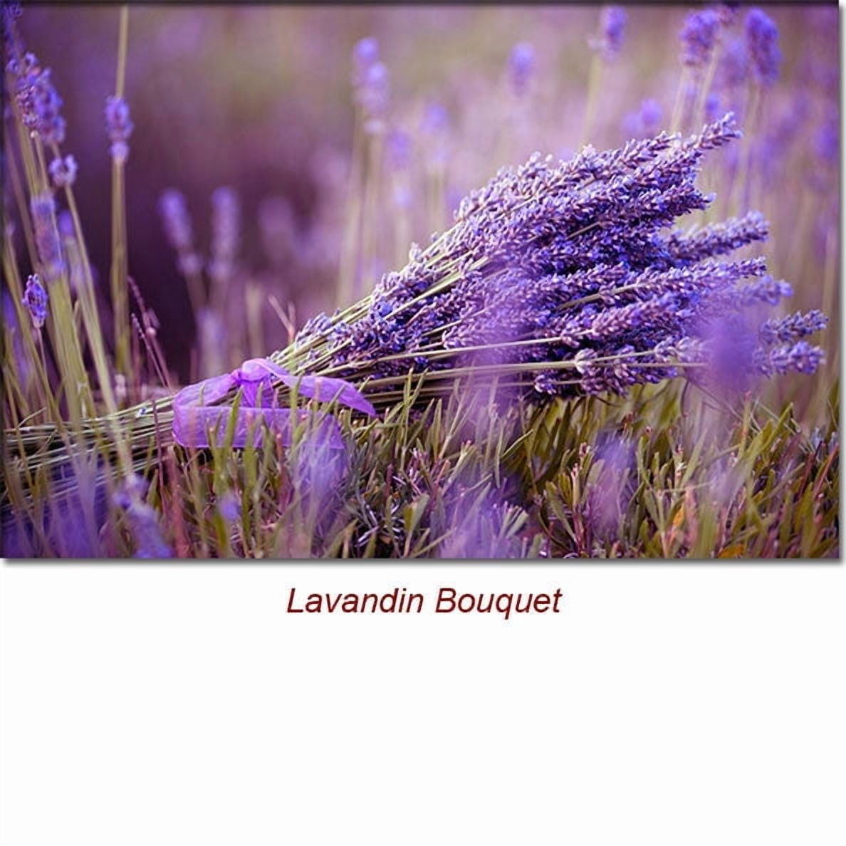 Lavandin Essential Oil 1 fl oz (30 ml) - 100% Pure and Natural by Silky Scents