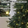 thumbnail image 6 of Sunrise 7.5\' Artificial Christmas Tree with Metal Stand Full Tree Xmas Holiday (7.5\' with 750 Clear Lights and 2514 Tips) Green, 6 of 12