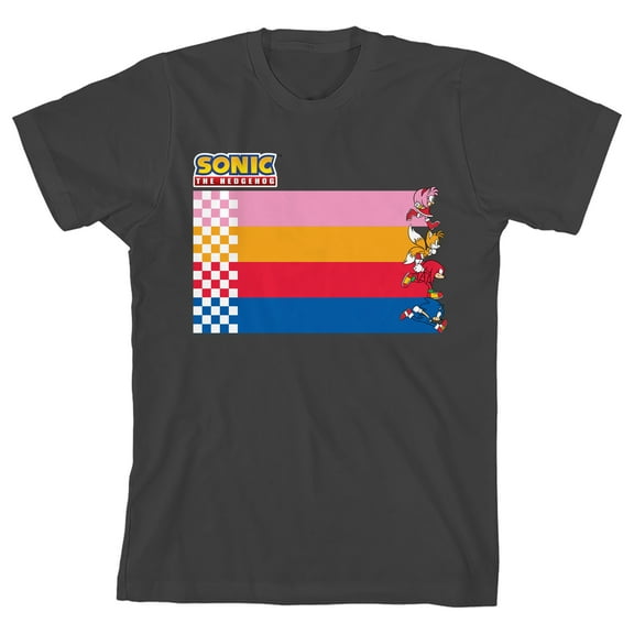 Sonic the Hedgehog Racing Stripes Youth Girl Charcoal Short Sleeve Tee-Medium