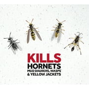 Raid - Raid Wasp and Hornet Spray- 3 Pack