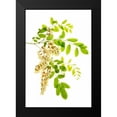 thumbnail image 2 of Robertson, Leda 11x14 Black Modern Framed Museum Art Print Titled - Honey Locusts I, 2 of 5