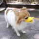 thumbnail image 5 of Anti mordedura Forma de boca de pato Cubiertas de boca de perro Máscaras de bozal antillamadas Conjunto de boca de mascota Material de silicona a prueba de mordidas (Amarillo, L), 5 of 5