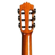 Cordoba C9 Parlor 7 8 Size Nylon String Classical Acoustic Guitar
