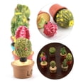 thumbnail image 1 of Plantas Suculentas En Miniatura Decoración De Casa De Muñecas Mini Planta Conjunto De Plantas 7 PC Cesta De Alambre De Arcilla De Jardín De Hadas, 1 of 7
