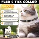 thumbnail image 3 of Collar Repelente Larvas Insectos Para Gato Orgánico 100%, 3 of 8