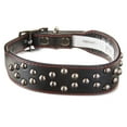 Vibrant Life Studded Fashion Dog Collar, Black, Medium