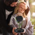 thumbnail image 4 of SW Forever Preserved Real Black Rose Flower Regalos de cumpleaños para mamá y mujer, regalos de San Valentín, flor eterna negra en cristal, regalos para el día de San Valentín, día de la madre, Navida, 4 of 7