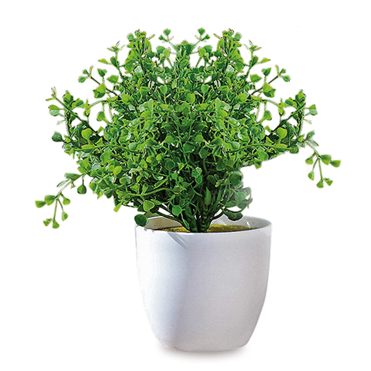 Realistic Faux Baby Oregano, Potted Plant, Houseplant, Kitchen, Lushly