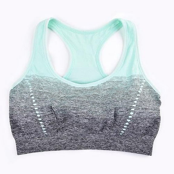 Alpha C Apparel Sports Bra High Stretch Breathable Top Fitness Women Padded for Running Yoga Gym Seamless Crop Bra Gradient Sport Bra