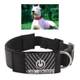 thumbnail image 1 of Collier pour Chien à LED, Collier pour Chien Rechargeable Lumineux, Programmable BT Contrôlé par Application, Texte et Graphiques Personnalisés, 1 of 8