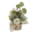 thumbnail image 4 of Récolte Pl feuilles en pot floral-vert, 4 of 4