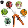 thumbnail image 4 of Herramientas de jardín Tijeras de podar Tijeras de bonsái Tijeras de jardinería de metal Herramienta de poda Cortador de mano Recolección de frutas Olla para el hogar (1PC) JFHHH pequeña, 4 of 5