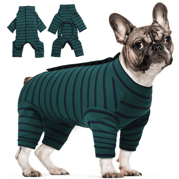 Onesie Dog After Surgery