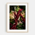 thumbnail image 2 of Red Amaranth tall - Carmel Valley California Photography Botanical Floral Nature Garden Flowers Scenic Autumn Unframed Wall Art Print 40 x 60 inches, 2 of 60
