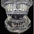 thumbnail image 2 of Vampire Fang Grillz Set Two Row Silver Tone Top Fangs & Bottom Teeth Bling Grills, 2 of 5