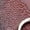 See Description, variant on Belvedere Men's Bruno Genuine Ostrich Leg and Italian Calf Loafer Burgundy 1026
