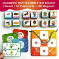 thumbnail image 3 of QUOKKA Life Cycle Kit Toy Montessori - 30 Flash Cards Toddler Science Activities for Kids Ages 2-4, 3 of 7