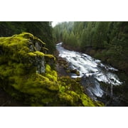 Upper Rogue River running through forested canyon in Siskiyou National Forest, Oregon, USA; Oregon, United States of America Poster Print by Michael Melford (17 x 11)