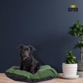 thumbnail image 3 of Cama Para Perro Mediana Base Impermeable Verde Resistente Alebripets ALEBRICCMV, 3 of 7