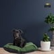 thumbnail image 3 of Cama Para Perro Tamaño Grande Base Impermeable Verde Alebripets ALEBRICCGV, 3 of 7