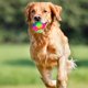 thumbnail image 4 of Pelota de juguete para perros Skylety con iluminación LED, elástica, parpadeante, 2 piezas, 4 of 7