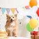 thumbnail image 5 of 10 globos con forma de hueso con temática de mascotas, globos decorativos para fiestas de cumpleaños de mascotas., 5 of 6
