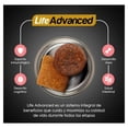 thumbnail image 4 of Alimento Para Perro Ganador Premium Cachorro Razas Pequeñas 2 kg, 4 of 4