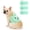 green, variant on Colenumone Cute Belly Bands for Male Dogs with 3D Ears, Washable Reusable Dog Diaper, Breathable Mesh Wrap for Training & Incontinence, Adjustable Comfort Fit