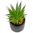 thumbnail image 5 of 7" Green Artificial Sword Grass in Black Pot, 5 of 5