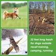 thumbnail image 4 of Correa flotante para perro Vivifying de 10 m con mango suave y reflectante, 4 of 9