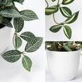 thumbnail image 3 of 2 Pcs Artificial Plants Greeney Plants with White Plastic Pot Small Fake Potted Plant Home Decor, 3 of 6
