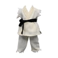 thumbnail image 4 of Figura de acción a escala 1/12, ropa, disfraz de muñeca, uniforme de judo, ropa en miniatura, cinturón de pantalón superior para cuerpo masculino de 6 Blanco, 4 of 5