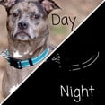 thumbnail image 3 of Country Brook Petz® Everyday Safety Reflective Dog Collar (Hot Yellow, Medium), 3 of 7