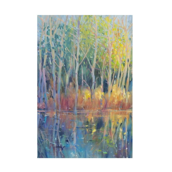 Tim OToole 'Reflected Trees II' Canvas Art