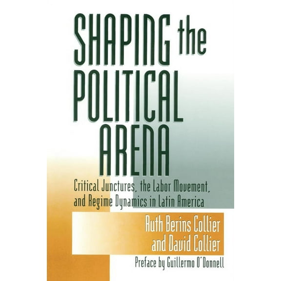 Kellogg Institute Democracy and Developm Shaping the Political Arena, (Paperback)