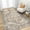AR01-Dark Brown, variant on SIXHOME 8'x10' Area Rugs for Living Room Washable Rug Vintage Medallion Living Room Rug Distressed Soft Carpet Large Area Rugs for Bedroom Dinning Room Office Indoor Retro Home Decor Taupe